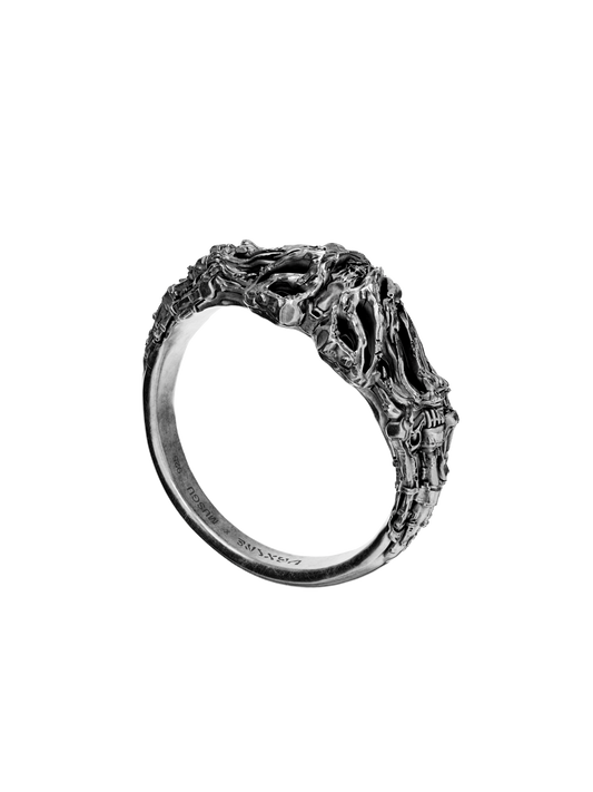 EMBRYO